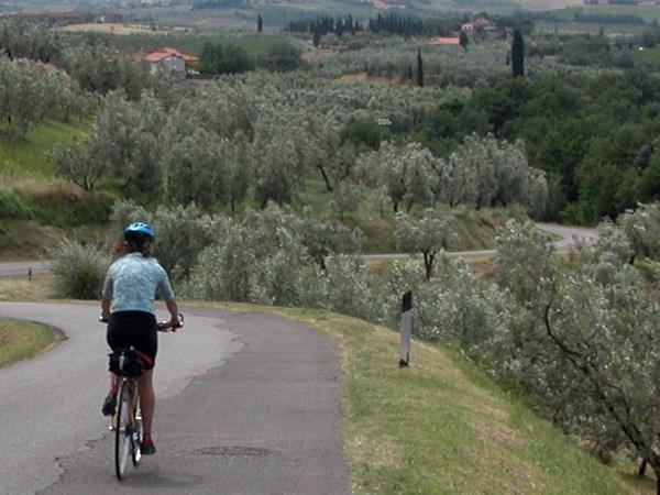 Romagna cycling holiday in Italy