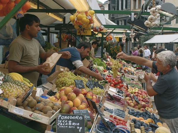 South Tyrol to Verona cycling holiday in Italy