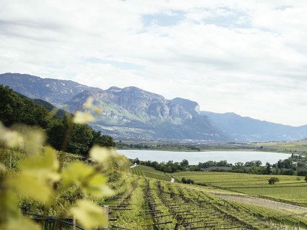 South Tyrol to Verona cycling holiday in Italy