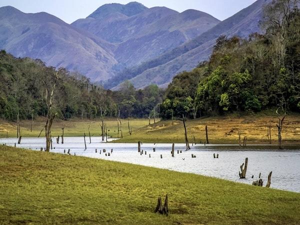 Kerala bespoke tour