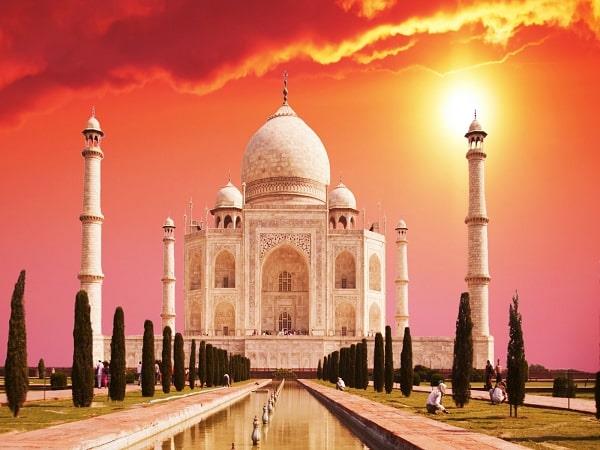 Wildlife tour of India