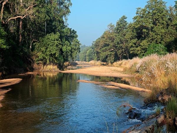 Wildlife tour of India