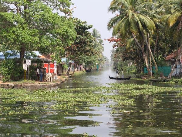 Elements of Kerala tailor made tours