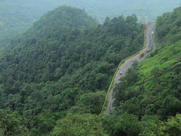 Elements of Kerala tailor made tours