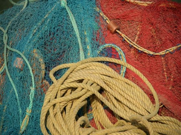 Elements of Kerala tailor made tours