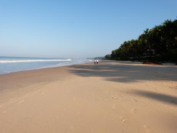 Elements of Kerala tailor made tours
