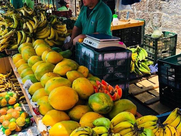 Costa Rica nature and culture holiday