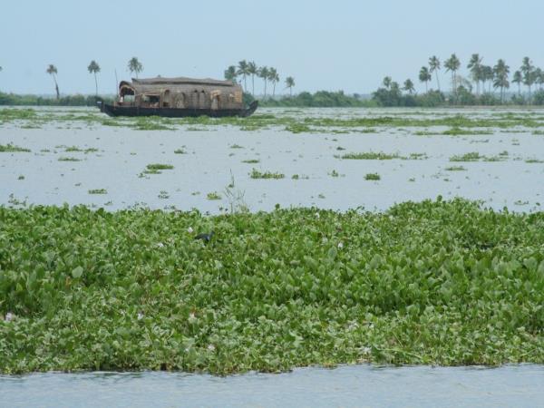 Kerala houseboat holiday, India