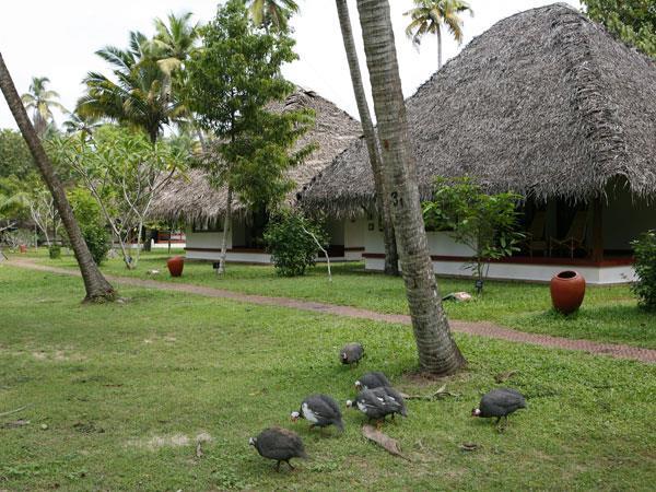 Kerala luxury holiday