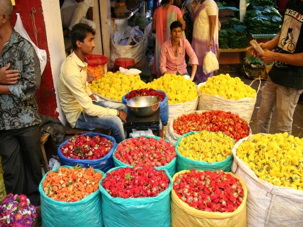Karnataka tailormade holiday, India