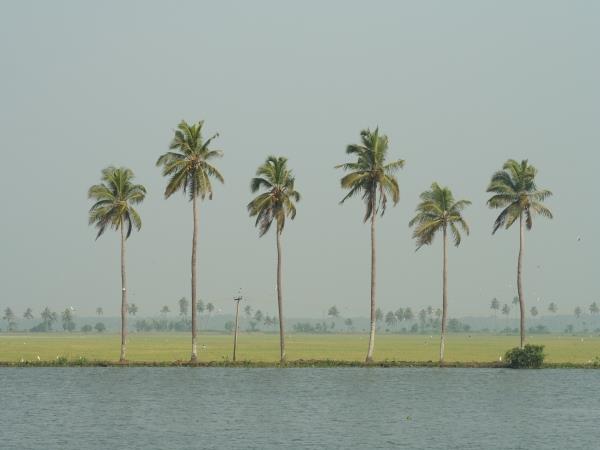 Kerala summer holiday special