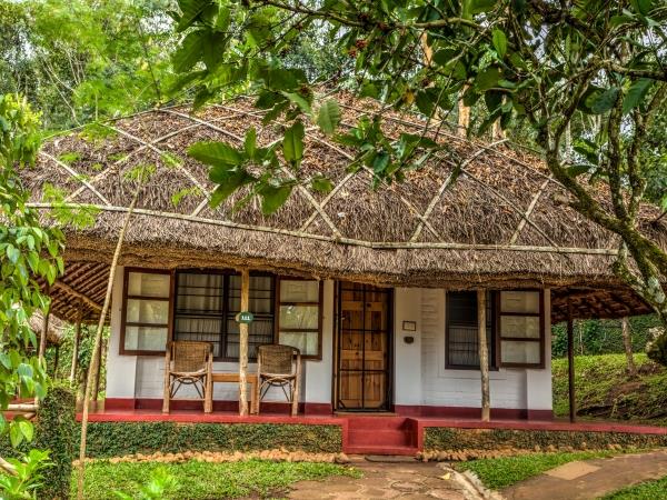 Tamil Nadu and Kerala summer tour