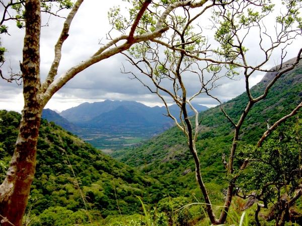 South India by rail holiday
