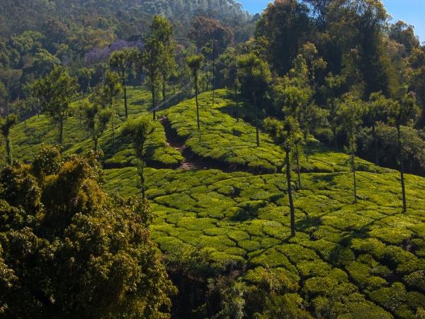 South India by rail holiday