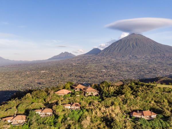 Rwanda luxury gorilla safari