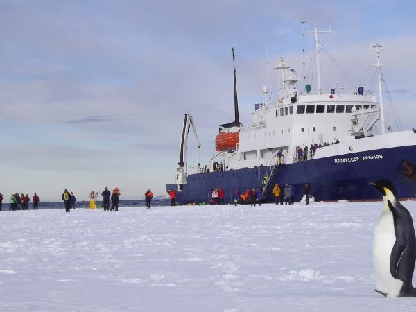 Antarctica and New Zealand Subantarctic Islands Wildlife Cruise