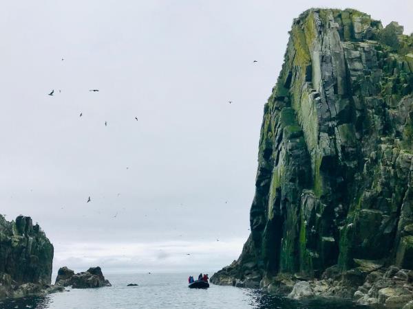 Kamchatka and Chukotka wildlife cruises, Russia