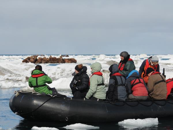 Kamchatka and Chukotka wildlife cruises, Russia
