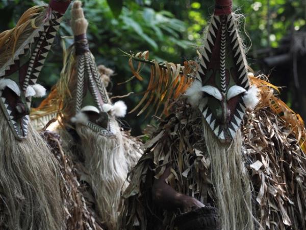 Melanesia cruise, wildlife cruise