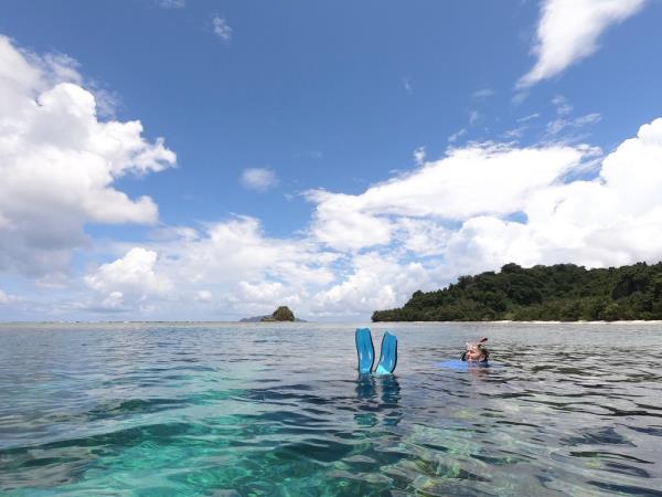 Melanesia cruise, wildlife cruise