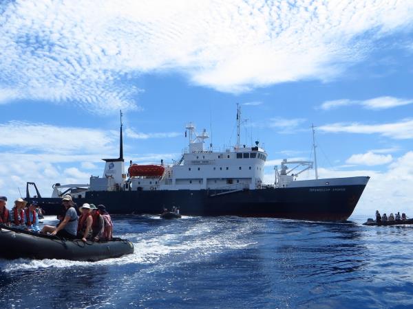 Melanesia cruise, wildlife cruise