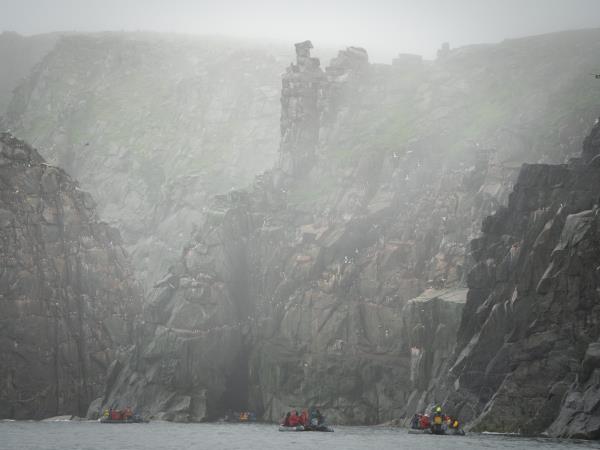 Chukotka and Wrangel Island wildlife cruises, Russia