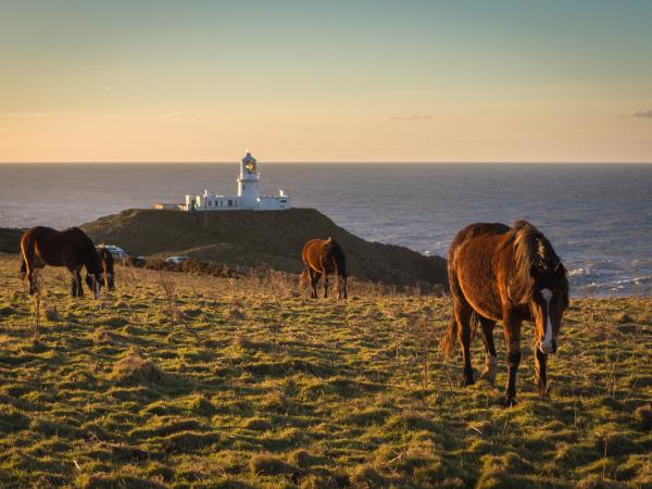 Pembrokeshire coast walking holiday