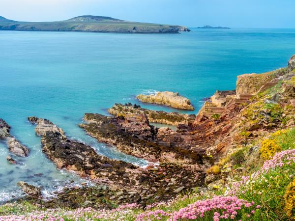 Pembrokeshire coast walking holiday