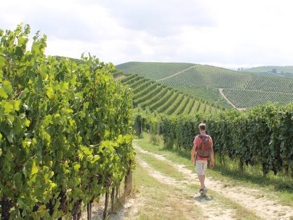 Piedmont walking holiday, self guided
