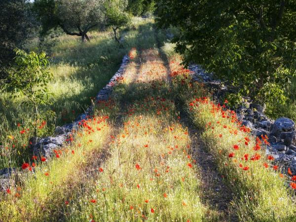 Puglia self guided walking holiday