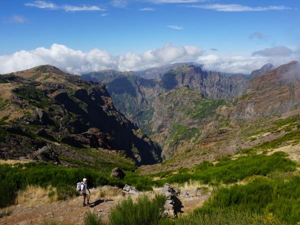 Madeira walking tour, private departure