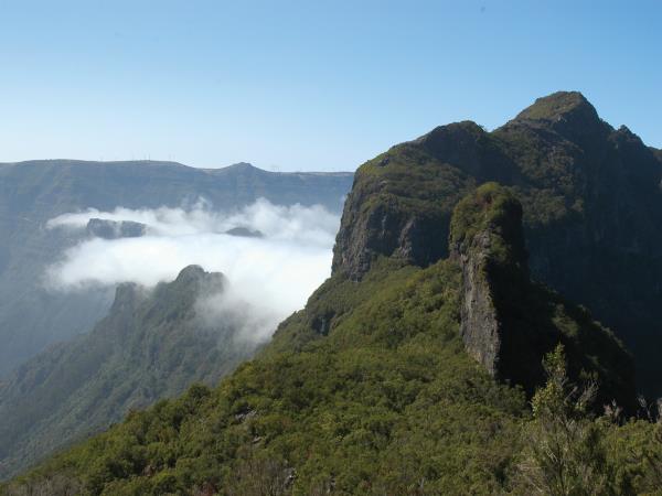 Madeira walking tour, private departure