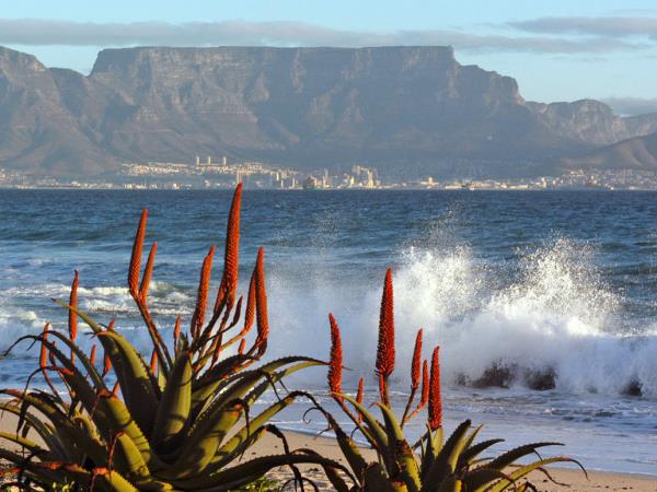 South Africa botanical gardens tour
