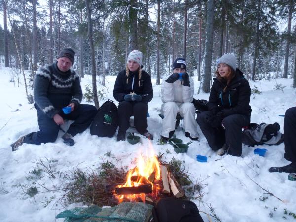 Sweden winter wildlife tracking, wolves and lynx