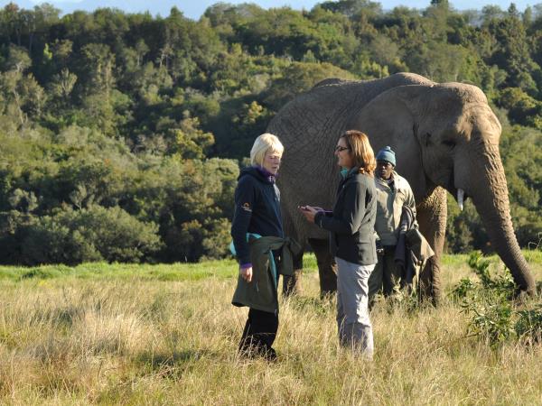 Over 40s volunteering with elephants, South Africa