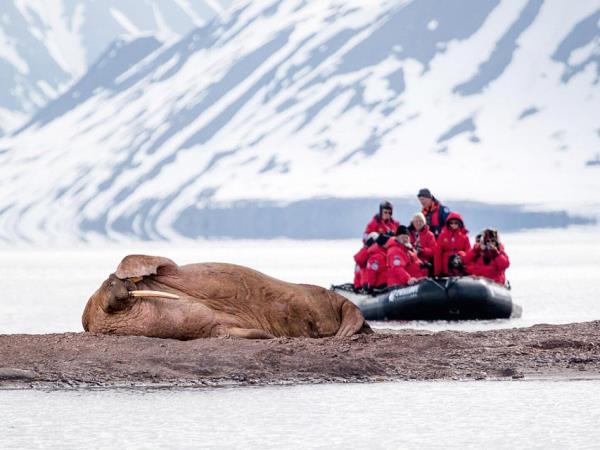 Arctic cruises, Spitsbergen to Franz Josef Land
