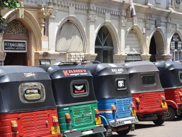 Sri Lanka Family Holidays