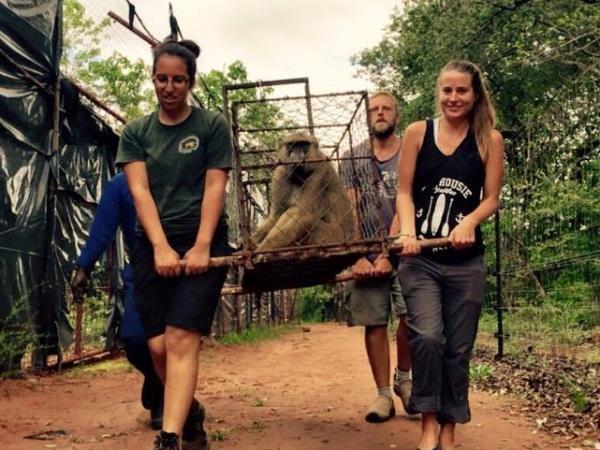 Malawi animal conservation and safari holiday