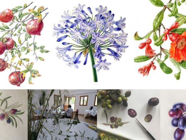 Botanical painting holiday in Greece