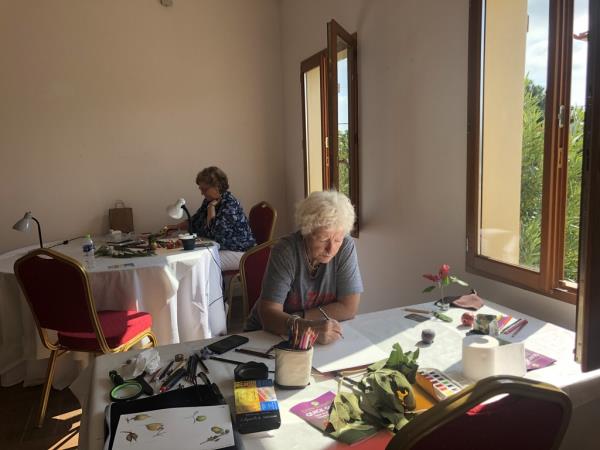 Botanical painting holiday in Greece
