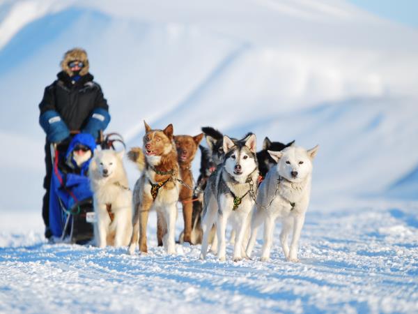 Dog-sledding in Spitsbergen holiday