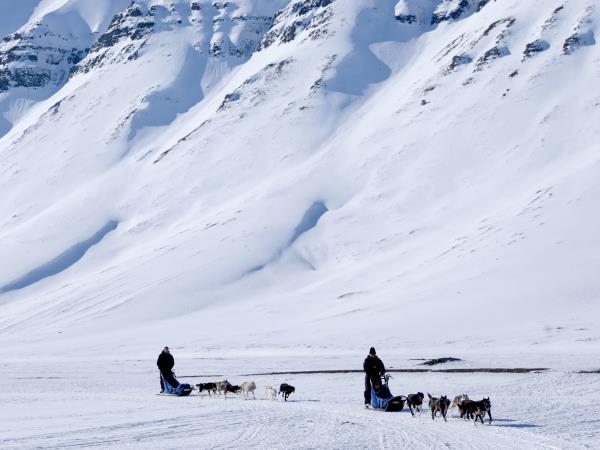Dog-sledding in Spitsbergen holiday