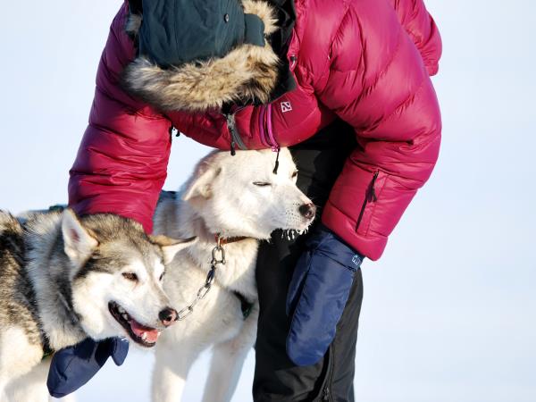 Dog-sledding in Spitsbergen holiday