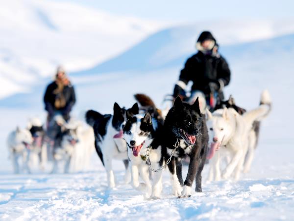 Dog-sledding in Spitsbergen holiday
