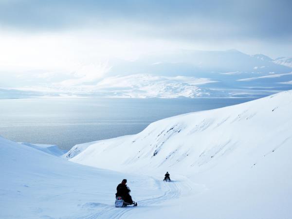 Dog-sledding in Spitsbergen holiday