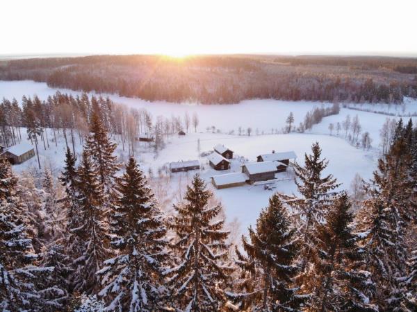 Sweden winter wildlife tracking, wolves and lynx