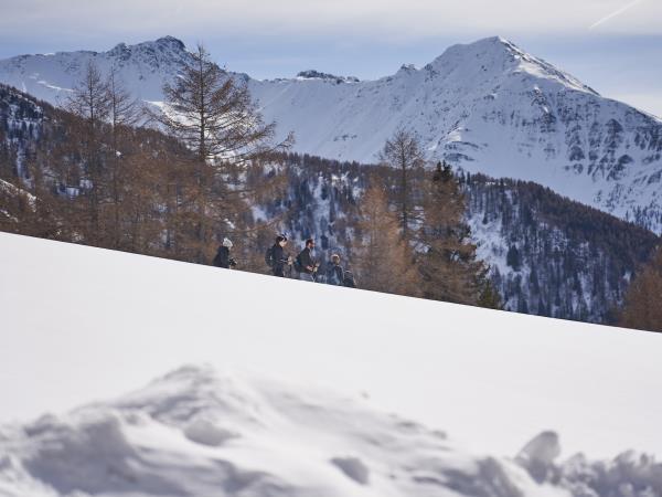 Austrian winter walking holiday