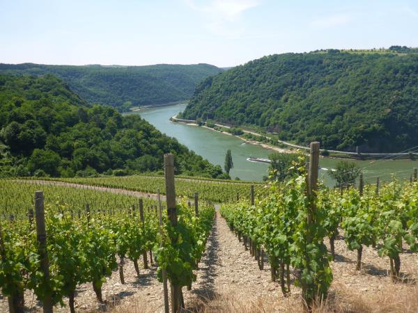 Germany walking holiday