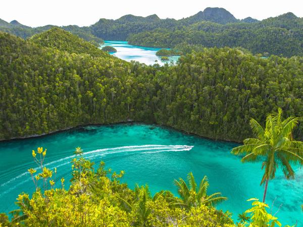 Cruise the Raja Ampat Islands, Indonesia