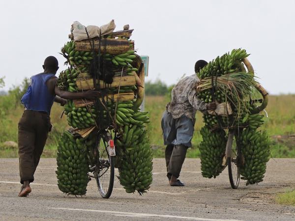 Uganda tailor made holidays